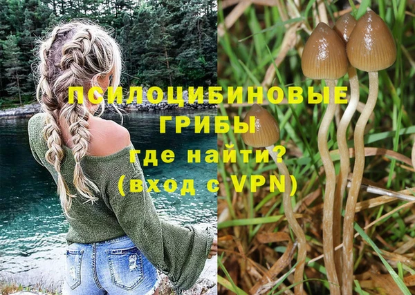 молекула духа Инта