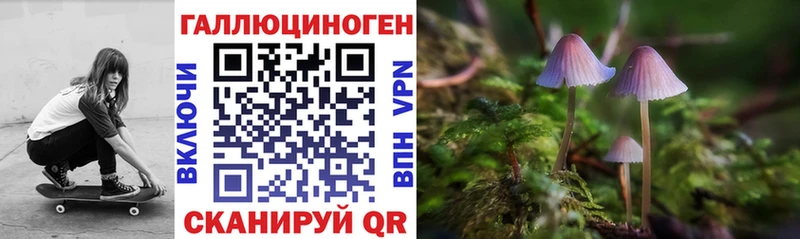 Псилоцибиновые грибы Cubensis  Купить где  Камбарка 